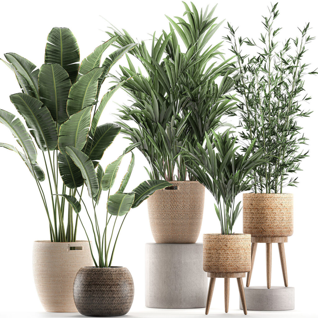 Plants in baskets for the interior 600 3D model - 3ds Max Store 2025 ...